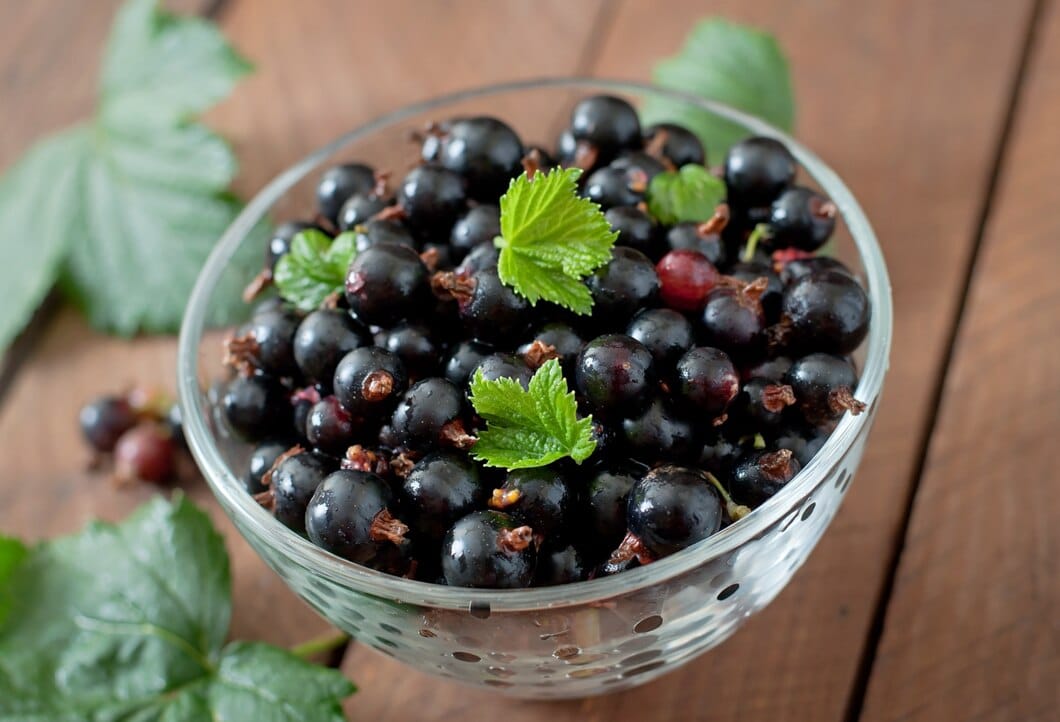 Cassis : Bienfaits, origine, utilisation en complément alimentaire