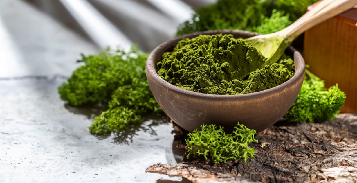 Chlorella : Bienfaits, origine, utilisation en complément alimentaire