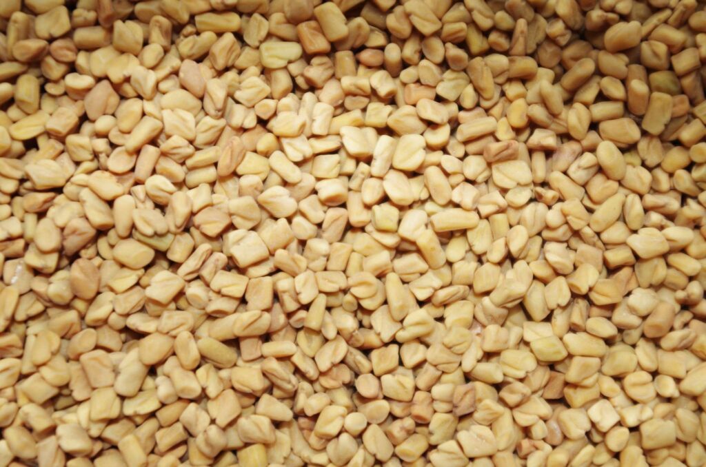 Fénugrec : Bienfaits, origine, utilisation en complément alimentaire