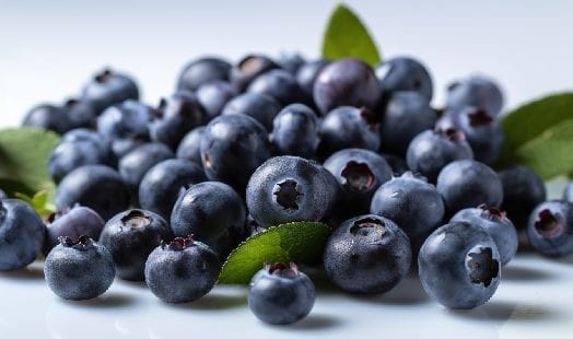 Myrtille : Bienfaits, origine, utilisation en complément alimentaire