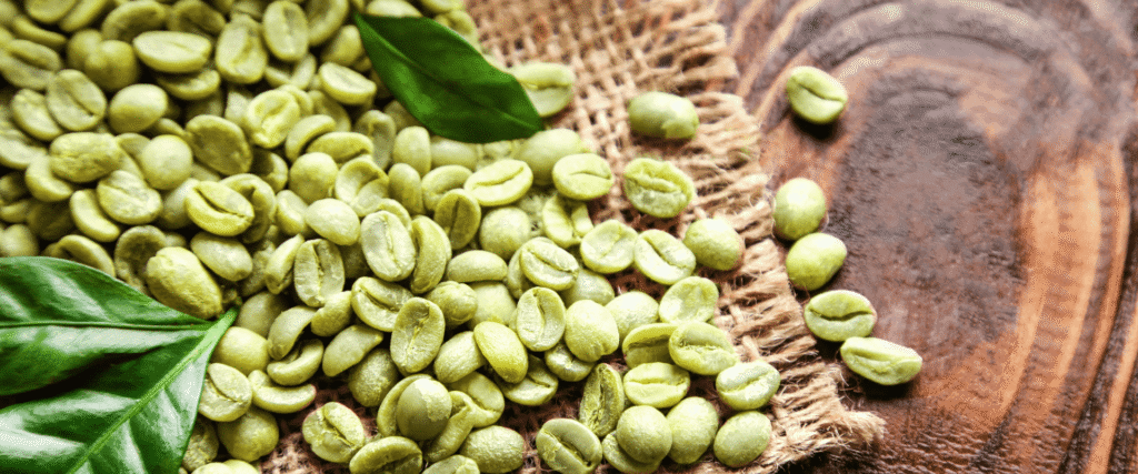Café vert : Bienfaits, origine, utilisation en complément alimentaire