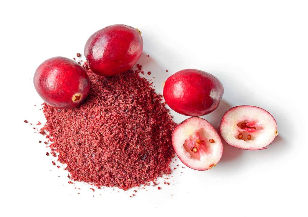Canneberge : Bienfaits, origine, utilisation en complément alimentaire